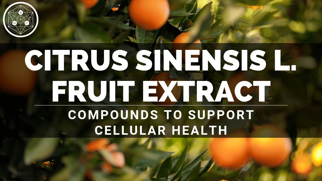 Citrus sinensis L. Fruit Extract: Sources and Benefits