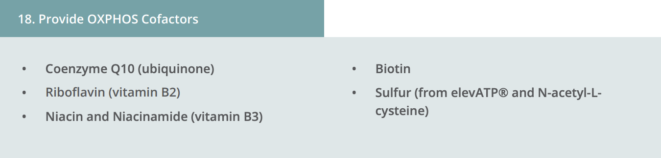 Image 18. Provide OXPHOS Cofactors