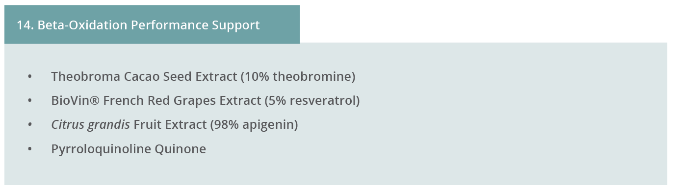 Image 14. Beta-Oxidation Performance Support