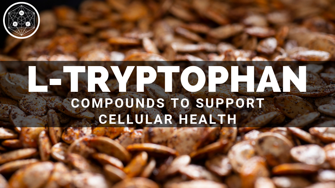 L-Tryptophan: Sources and Benefits