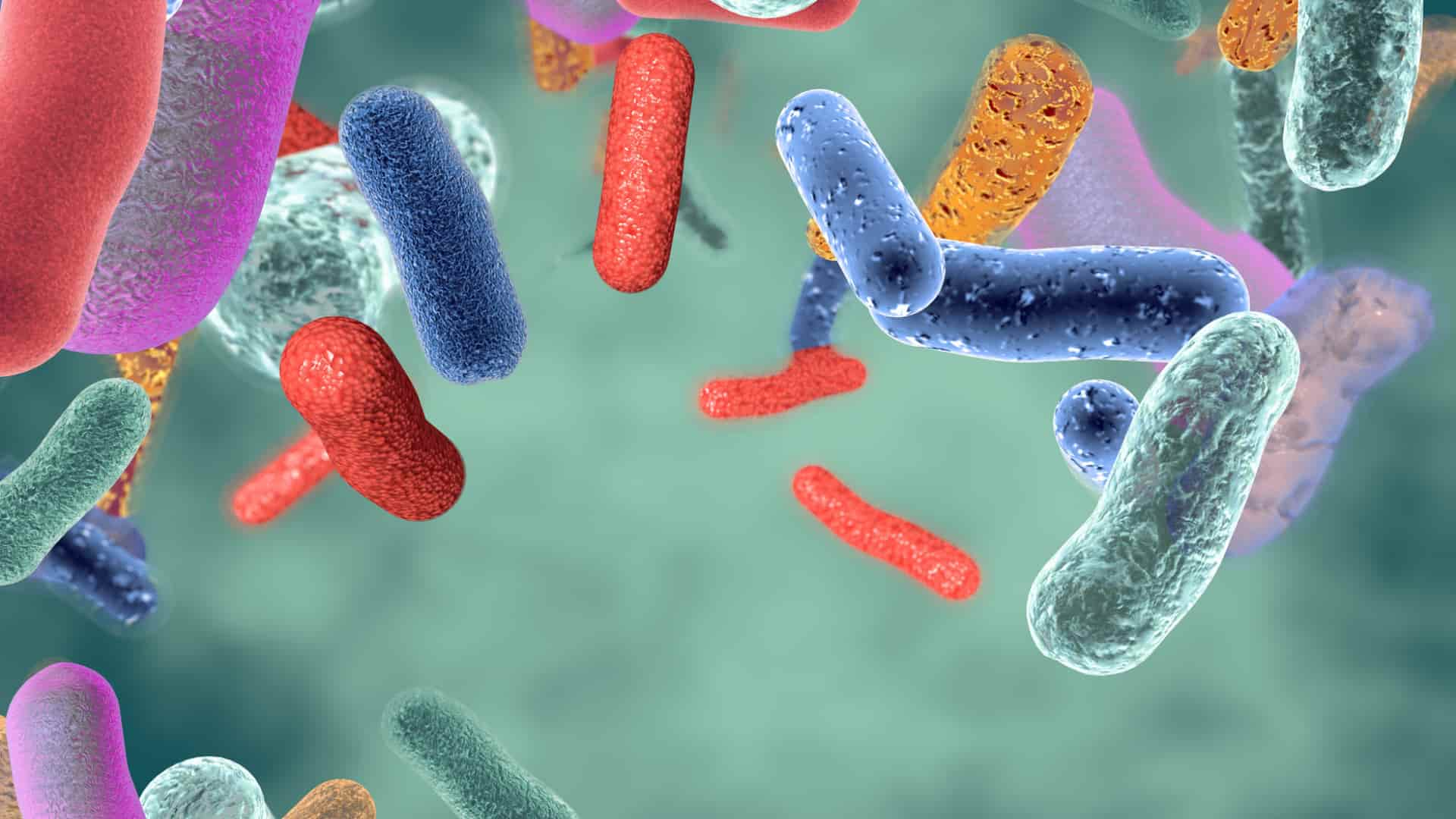 Why Your Body's Microbes Hold the Key to Your Health and Happiness - An Interview With Alanna Collen