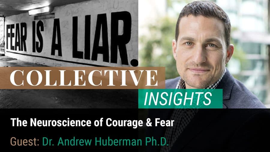 The Neuroscience of Courage and Fear