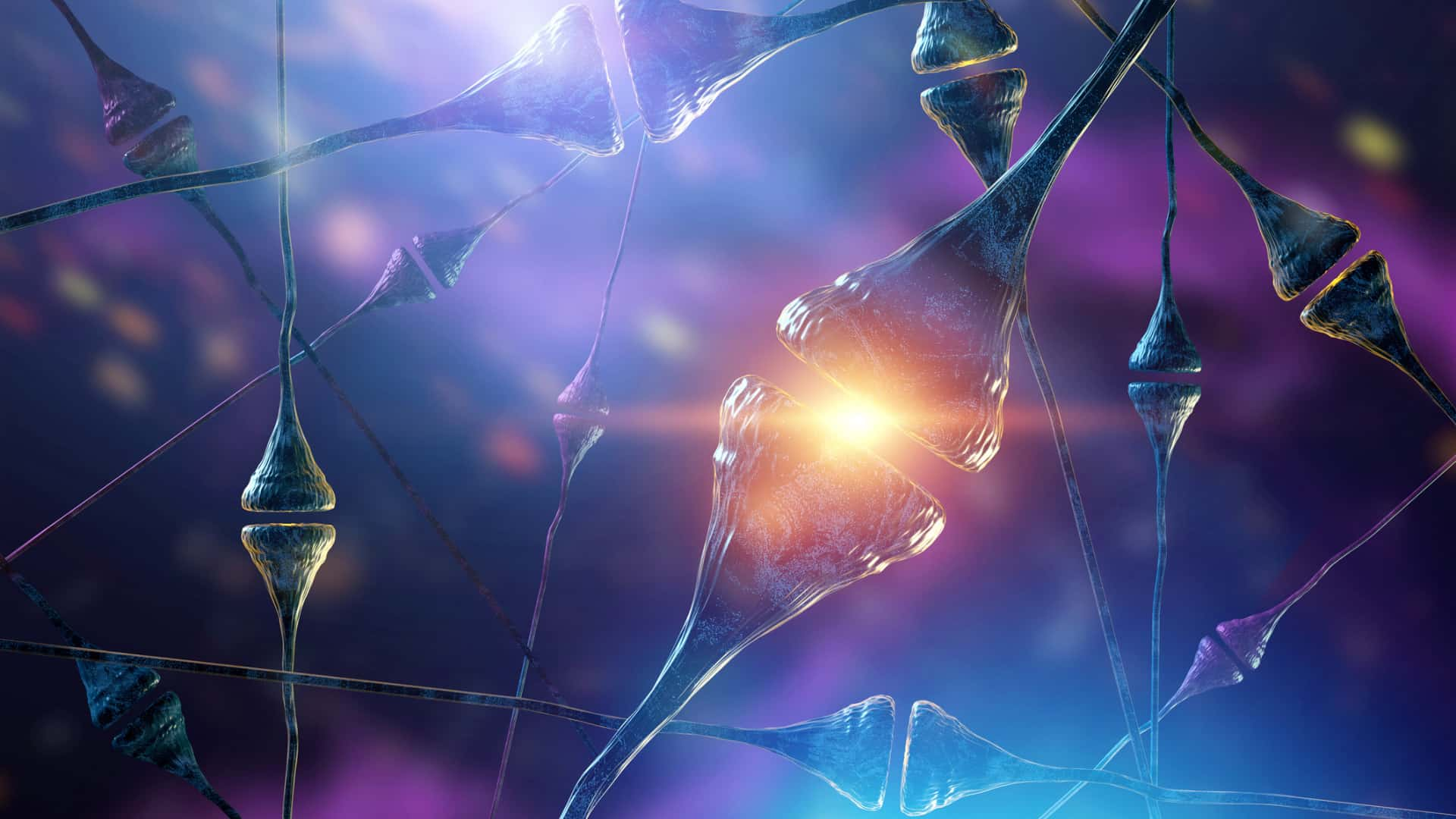 How Psychedelic Compounds Improve Your Brain's Plasticity - An Interview With Julie Holland, MD