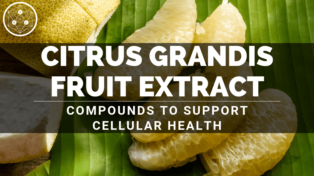 Citrus grandis Fruit Extract: Sources And Benefits