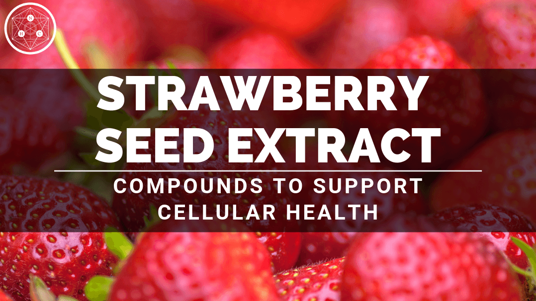 Benefits of Strawberry Seed Extract