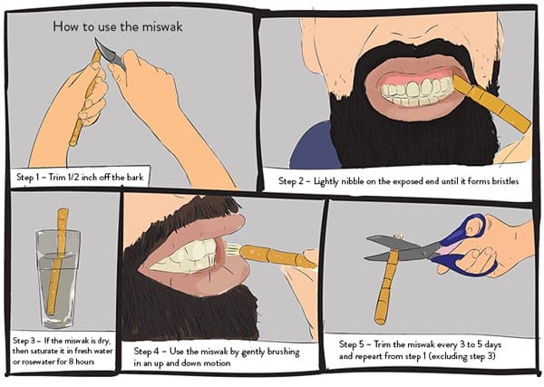 The Miswak: More Than a Convenient Twig | ProductiveMuslim