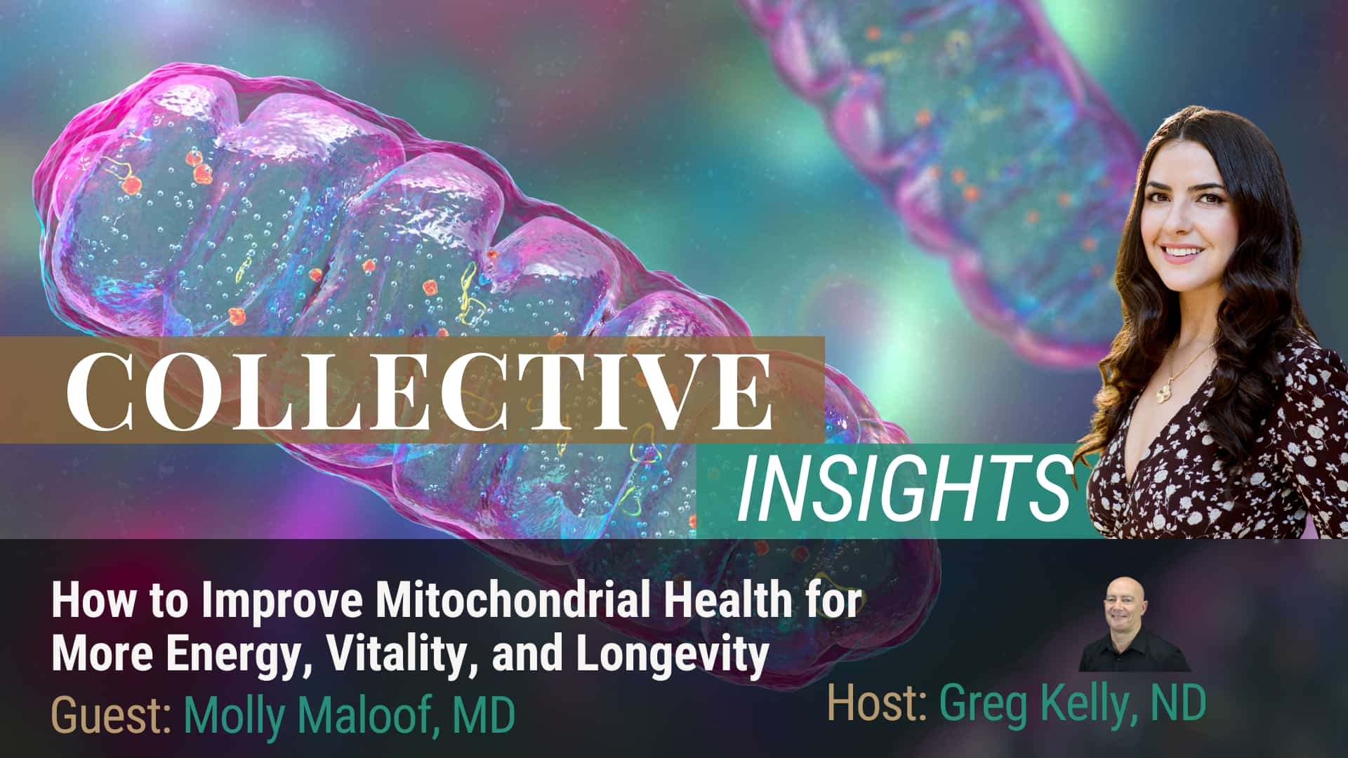 Mitochondrial Health - Dr. Molly Maloof - Biohacking