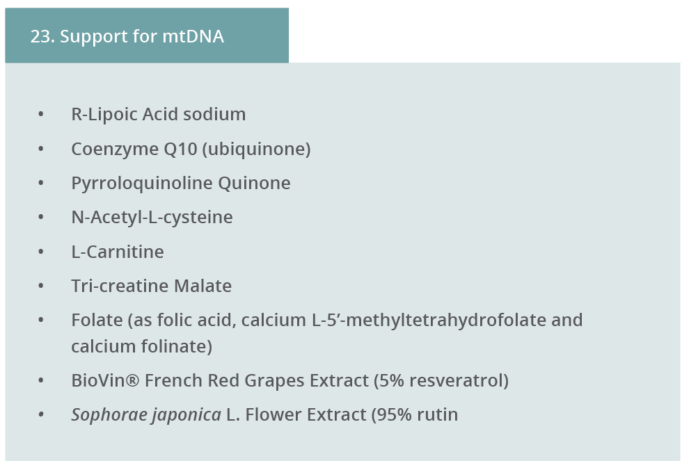 Image 23. Support for mtDNA