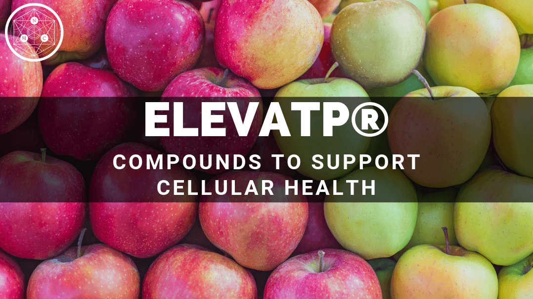 What is elevATP® Ancient Peat and Apple Fruit Extract?