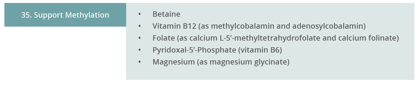 Image 35. Support Methylation