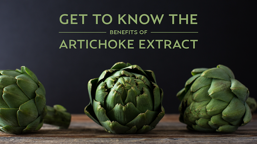 Get to Know the Benefits of Artichoke Extract