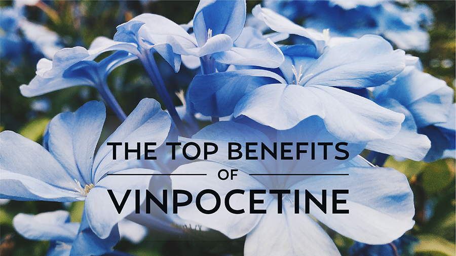 The Top Benefits of Vinpocetine