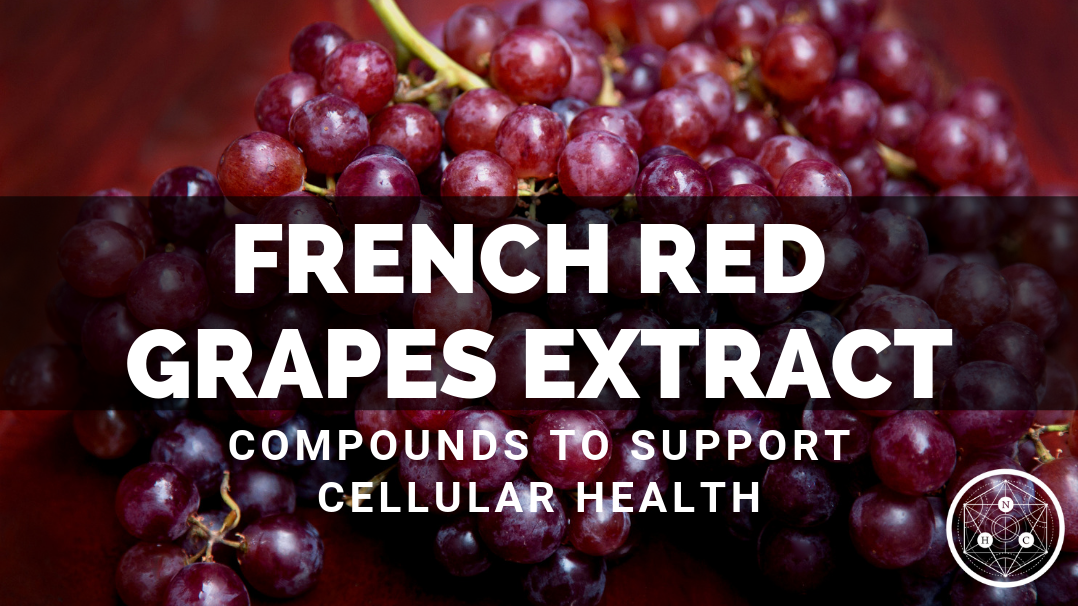 French Red Grapes Extract: Sources and Benefits