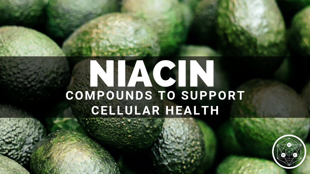 Benefits of Niacin & Niacinamide