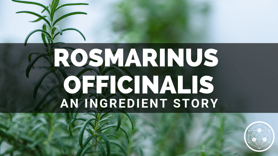 Rosmarinus officinalis Leaf Extract: Sources And Benefits