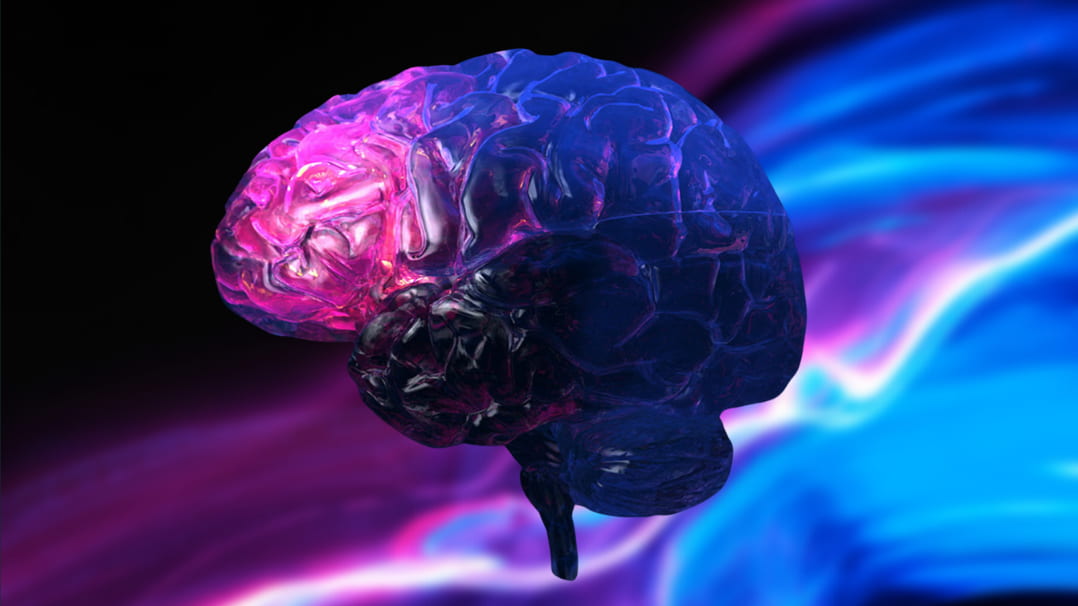 The Ultimate Neurohacking List for Energy, Cognition & Longevity