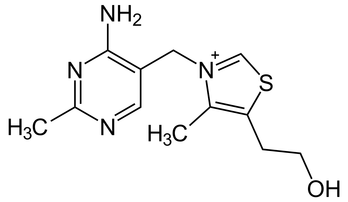 Vitamin B1 (Thiamine)