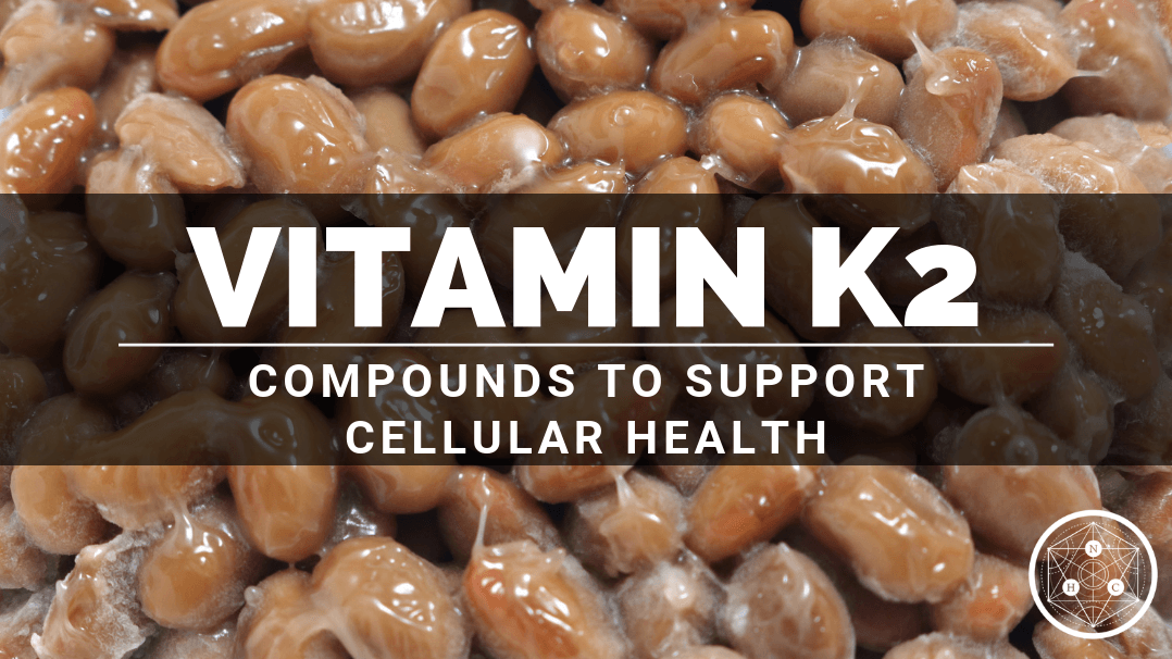 What is Vitamin K2? An Exploration of its Benefits